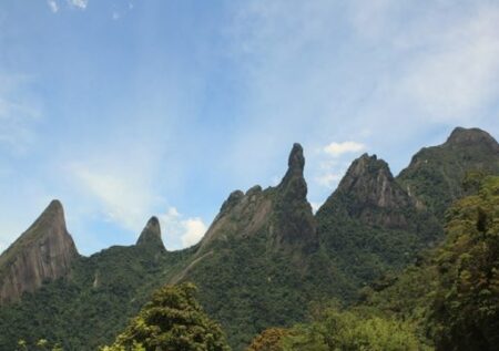 Caminhão com carga tóxica tomba e atinge área de parque nacional, na Região Serrana