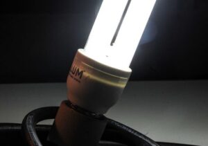 Nova Tarifa Social de Energia entra em vigor com gratuidade para consumo de até 80 kWh
