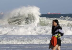 Pinguins aparecem mortos na orla do Rio após ondas gigantes