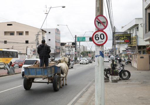 Prazo para cadastramento de veículos de tração animal termina em Campos Prazo para cadastramento de veículos de tração animal termina em Campos