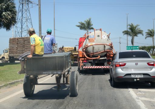 Ministério Público discute políticas públicas para condutores de veículos de tração animal em Campos Trabalhadores que utilizam VTA devem fazer cadastro em censo a partir de segunda-feira, em Campos
