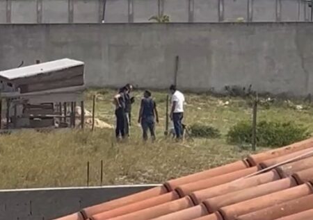 Pitbull é recolhido após invadir quintal e matar galinhas em Atafona