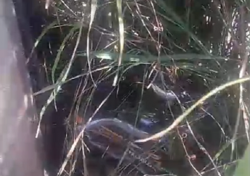 Motociclista morre após perder o controle e colidir contra poste em São João da Barra Motociclista morre após perder o controle e colidir contra poste em São João da Barra