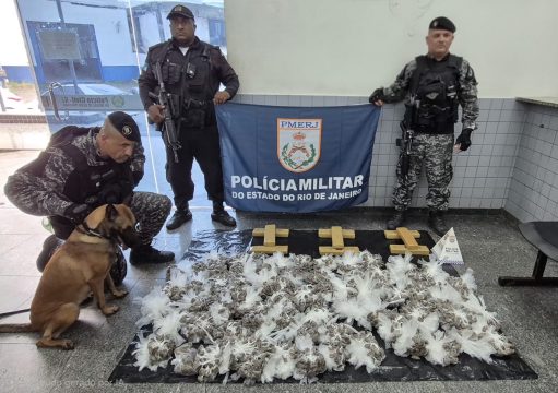 Polícia apreende cerca de 91 mil reais em maconha, em Guarus Polícia apreende cerca de 91 mil reais em maconha, em Guarus