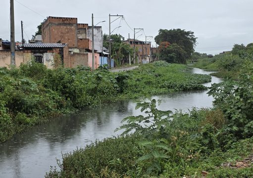 Agricultura acompanha áreas estratégicas de Campos durante o período de chuvas Agricultura acompanha áreas estratégicas de Campos durante o período de chuvas