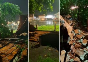 Temporal em Campos derruba muro de abrigo com mais de 200 cães e provoca fuga de animais