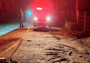 Idosa morre após ser atropelada em São João da Barra Idosa morre após ser atropelada em São João da Barra