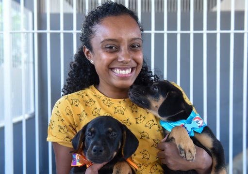 Canil do CCZ com quase 40 animais, entre cães e gatos, disponíveis para adoção Canil do CCZ com quase 40 animais, entre cães e gatos, disponíveis para adoção