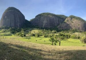 Cientistas da UENF descobrem nova espécie arbórea em Morro do Coco