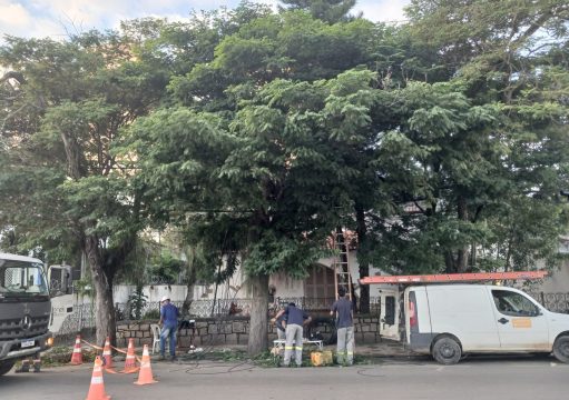 Galhos, rede elétrica e riscos Galhos, rede elétrica e riscos