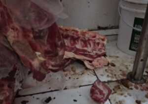 Diretora da Vigilância Sanitária detalha ação que apreendeu 885kg de alimentos impróprios em Campos