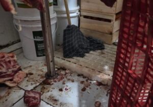 Vigilância Sanitária apreende 885 quilos de alimentos impróprios e interdita supermercado em Campos