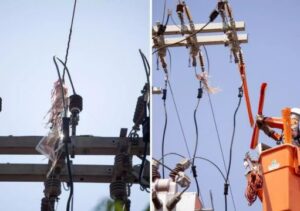 Campos lidera ocorrências com pipas na rede elétrica durante férias escolares, alerta Enel