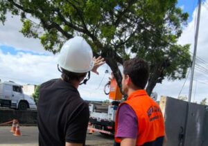 Defesa Civil Municipal e Enel promovem poda de árvores no Parque Imperial Defesa Civil Municipal e Enel promovem poda de árvores no Parque Imperial