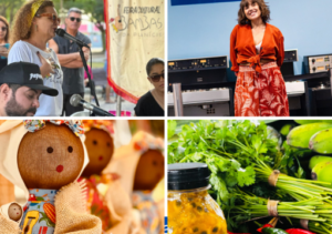 Em edição especial, Feira Cultural Bambas da Planície recebe Karine