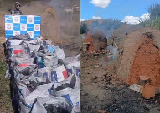 Oito toneladas de carvão são apreendidas em carvoaria ilegal em Campos Oito toneladas de carvão são apreendidas em carvoaria ilegal em Campos