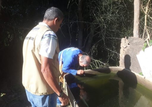 CCZ finaliza quarto ciclo de pesquisa de captura e eliminação do Aedes aegypti CCZ finaliza quarto ciclo de pesquisa de captura e eliminação do Aedes aegypti