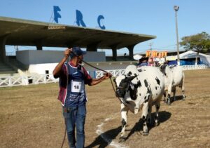 Expo Campos segue, com concurso leiteiro, rodeio e programação para toda a família Expo Campos segue, com concurso leiteiro, rodeio e programação para toda a família