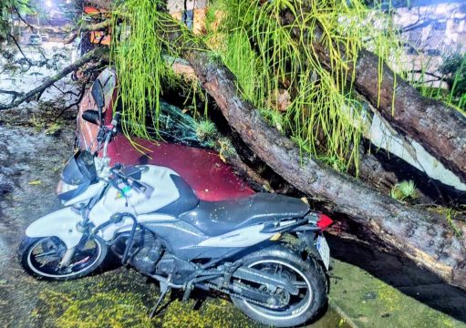 Queda de árvore danifica veículo e bloqueia rua na Pelinca, em Campos; trecho já foi liberado Queda de árvore danifica veículo e bloqueia rua na Pelinca, em Campos; trecho já foi liberado