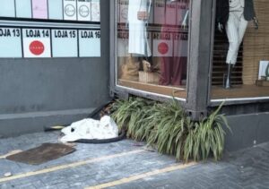 Furto de fiação deixa 16 lojas sem energia na Avenida Pelinca, em Campos