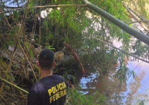 PF localiza três balsas utilizadas para mineração ilegal de ouro no Rio Muriaé, em Itaperuna