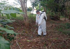 Saúde de Bom Jesus do Itabapoana confirma caso de febre maculosa com morte