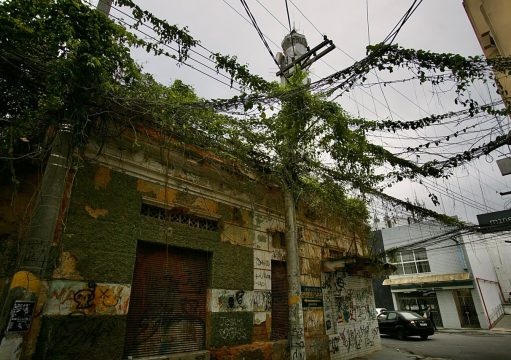 Vegetação ameaça rede elétrica em vários bairros Vegetação ameaça rede elétrica em vários bairros